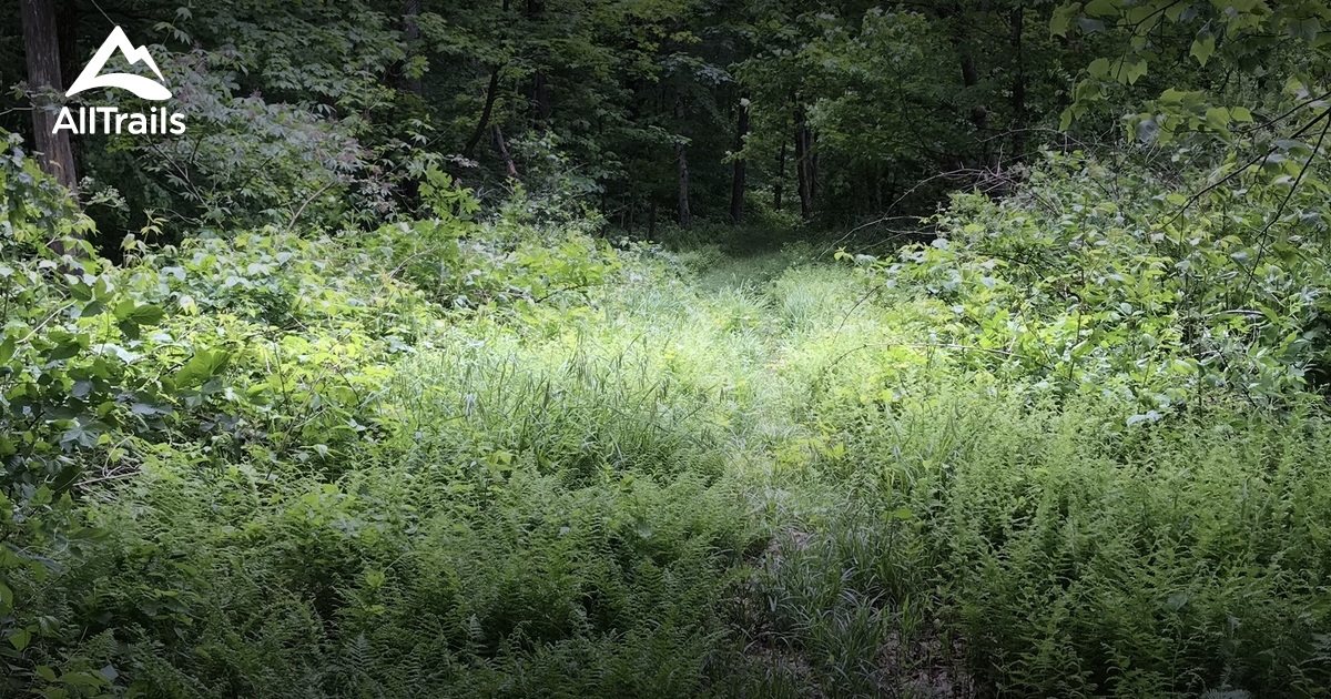 Best hikes and trails in Bear Spring Mountain Game Management Area ...