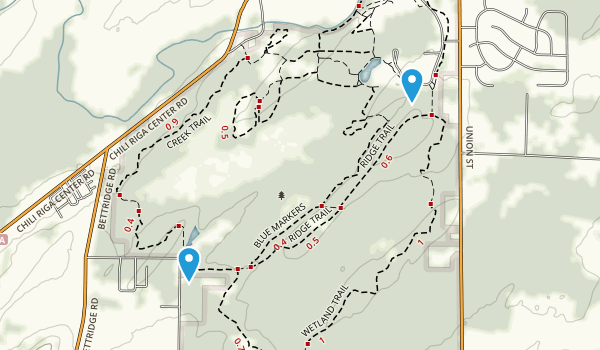 Best Trails in Black Creek Park - New York | AllTrails