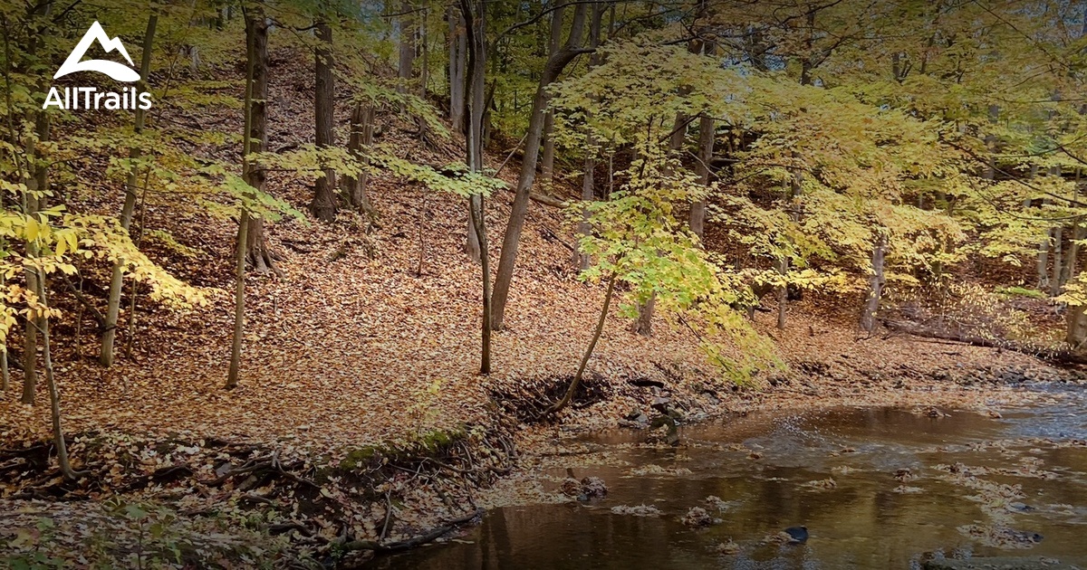 Best trails in ster Park, New York AllTrails