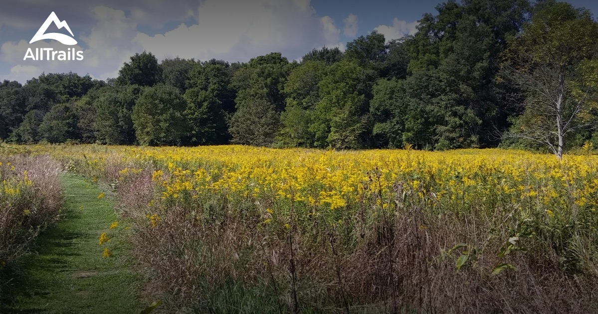 Escape To Nature’s Embrace: Exploring Ohio’s Hidden Gem, Eagle Creek State Nature Preserve