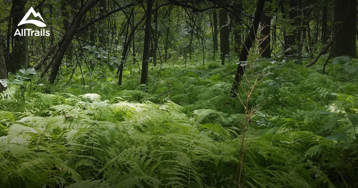 10 Best hikes and trails in Rocky Ridge County Park AllTrails