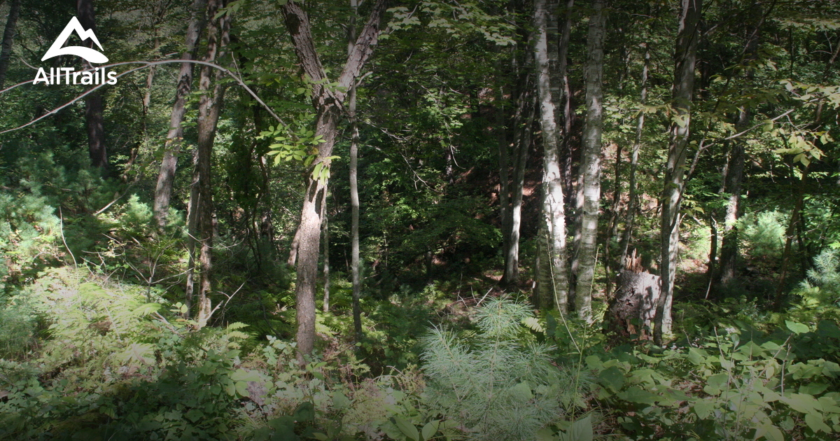 Best hikes and trails in Osceola Bedrock Glades State Natural Area