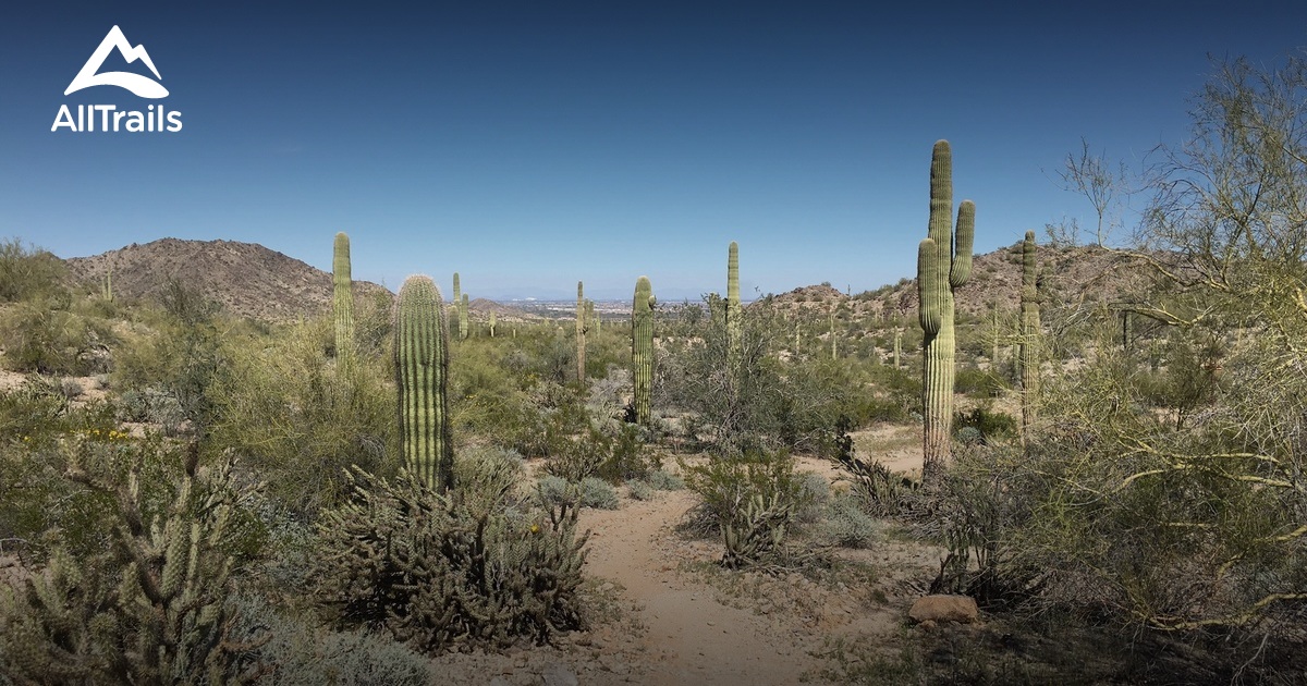 Best Trails in Estrella Mountain Regional Park - Arizona | AllTrails