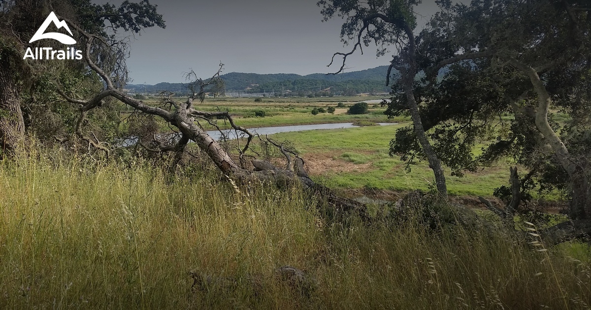 best trails in deer island preserve california 18 best trails in deer island preserve california 18