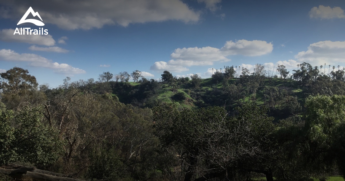 Best forest trails in Elysian Park | AllTrails