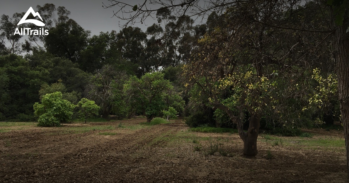 Best trails in Orcutt Ranch Horticultural Center Park, California