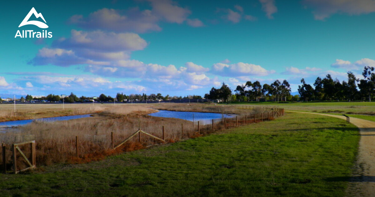 Best bird watching trails in Sunnyvale Baylands Park | AllTrails