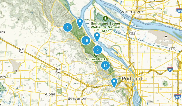 Best Trails in Forest Park - Oregon | AllTrails