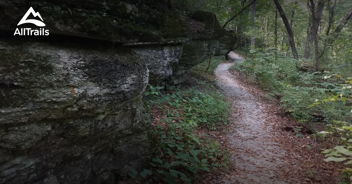 Best hikes and trails in Burr Oak Woods Conservation Area | AllTrails