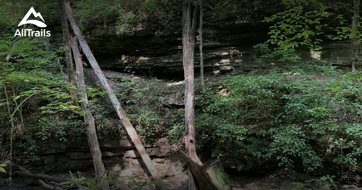 Best Trails in Bernheim Arboretum and Research Forest Kentucky