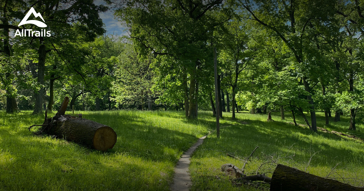 Best easy trails in Creve Coeur Lake Memorial Park AllTrails