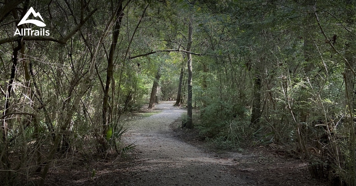 Randolph Park de beste routes om te wandelen AllTrails