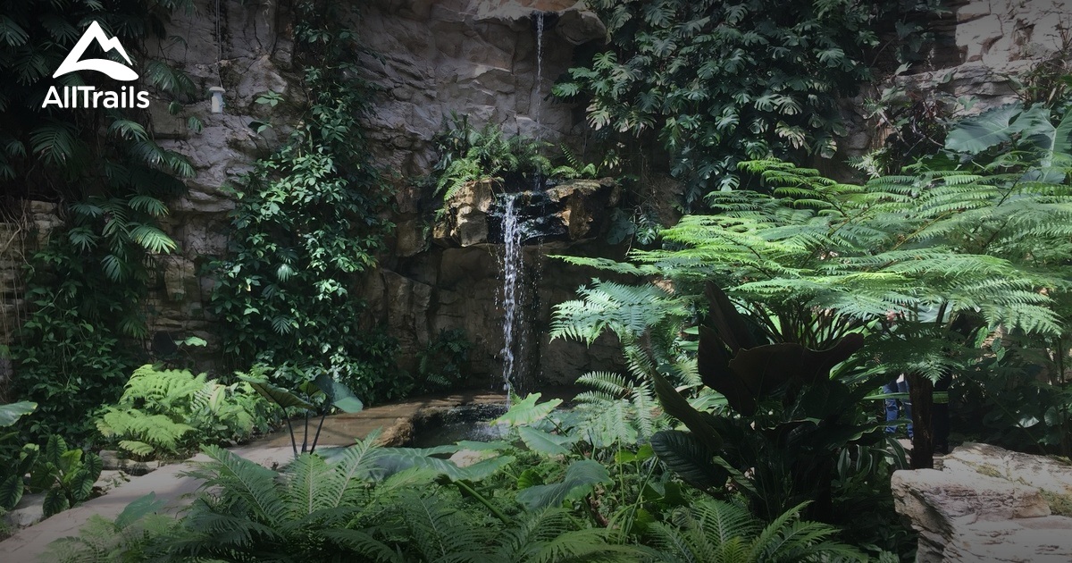 Best hikes and trails in San Antonio Botanical Center | AllTrails