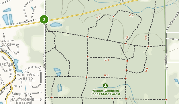 Best Trails in W G Jones State Forest - Texas  AllTrails