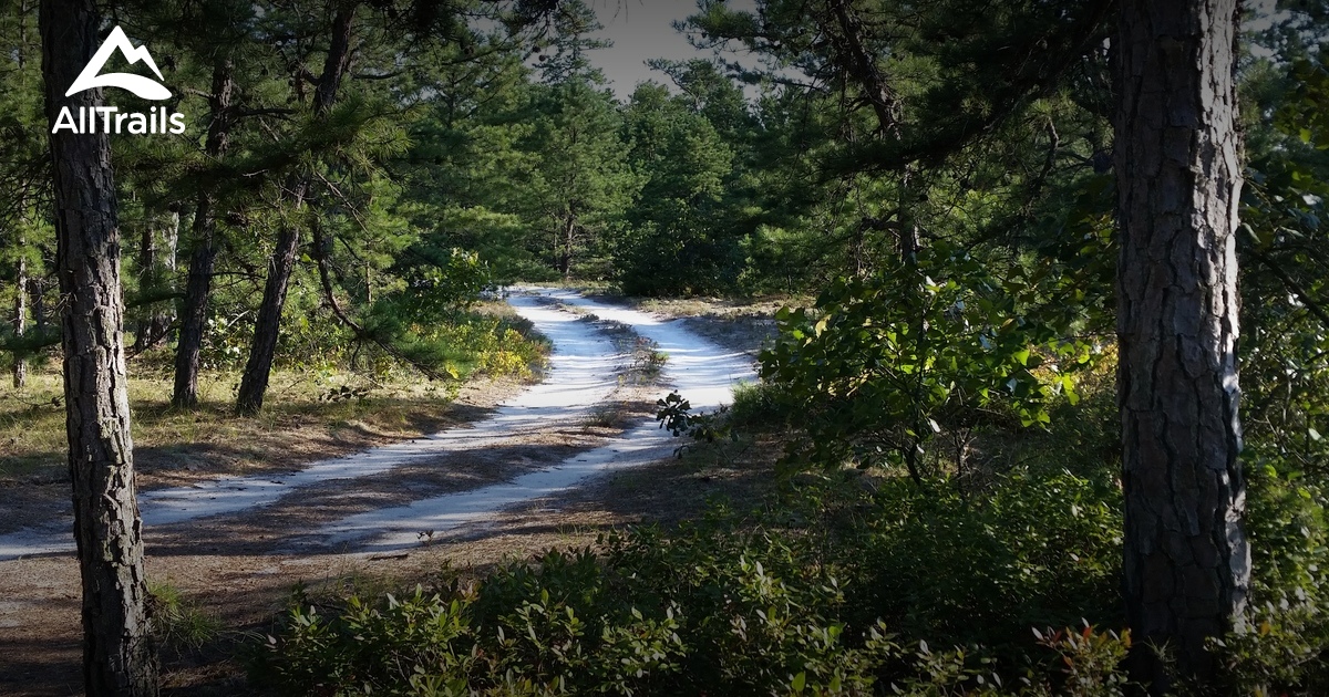 Best Trails in Green Bank State Forest - New Jersey | AllTrails