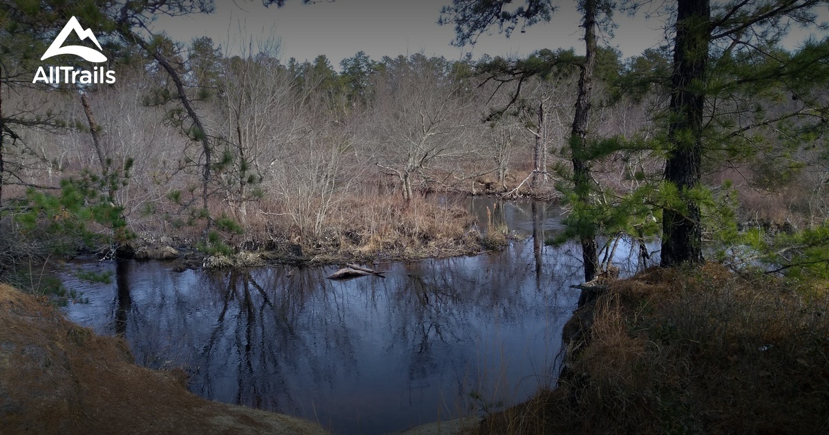 Best Trails in Green Bank State Forest - New Jersey | AllTrails