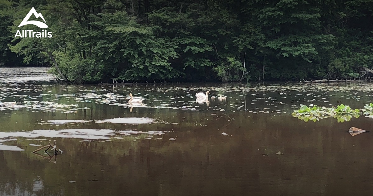 Best hikes and trails in Stevenson Park AllTrails