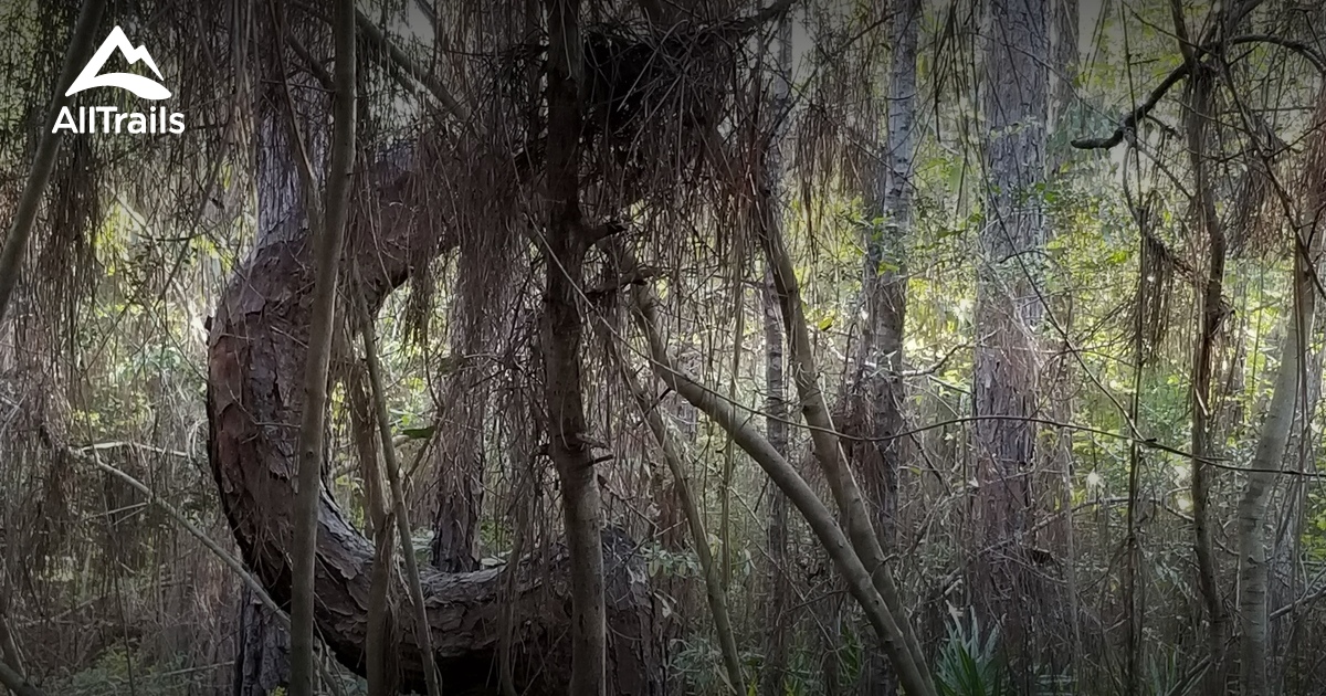 Best river trails in Shepard State - Parks Us Mississippi Shepard State Park 10128988 20210926080220000000000 1200x630 3 41632959509 