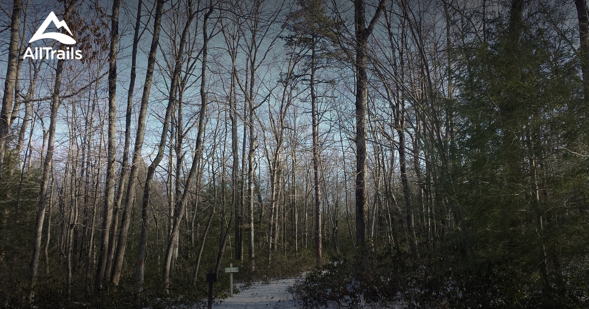 Best Trails in Bald Eagle State Forest - Pennsylvania | Photos