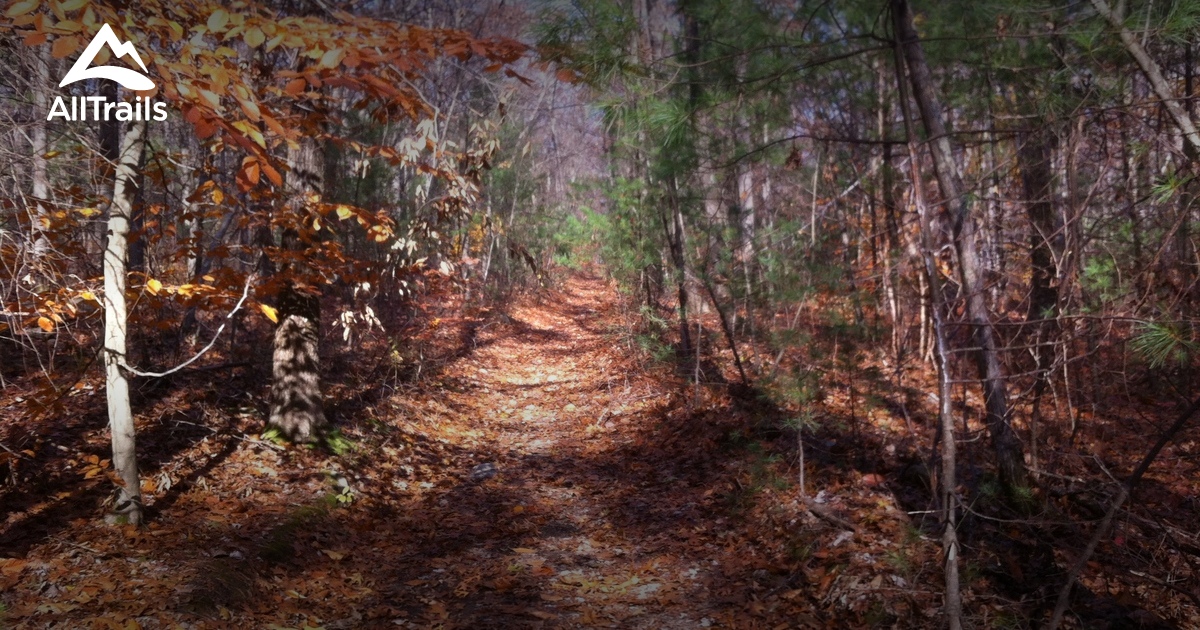 Best trails in Franklin State Forest, Massachusetts | AllTrails