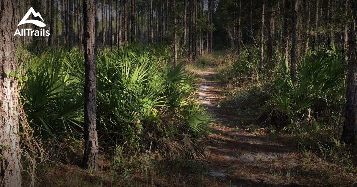 Best Trails in Tiger Bay State Forest - Florida | AllTrails