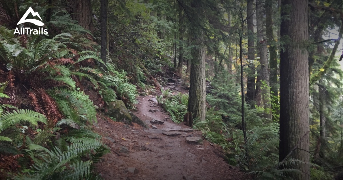 Best Trails in Tiger Mountain State - Parks Us Washington Tiger Mountain State Forest 10129071 20180518092531 1200x630 3 41526642040