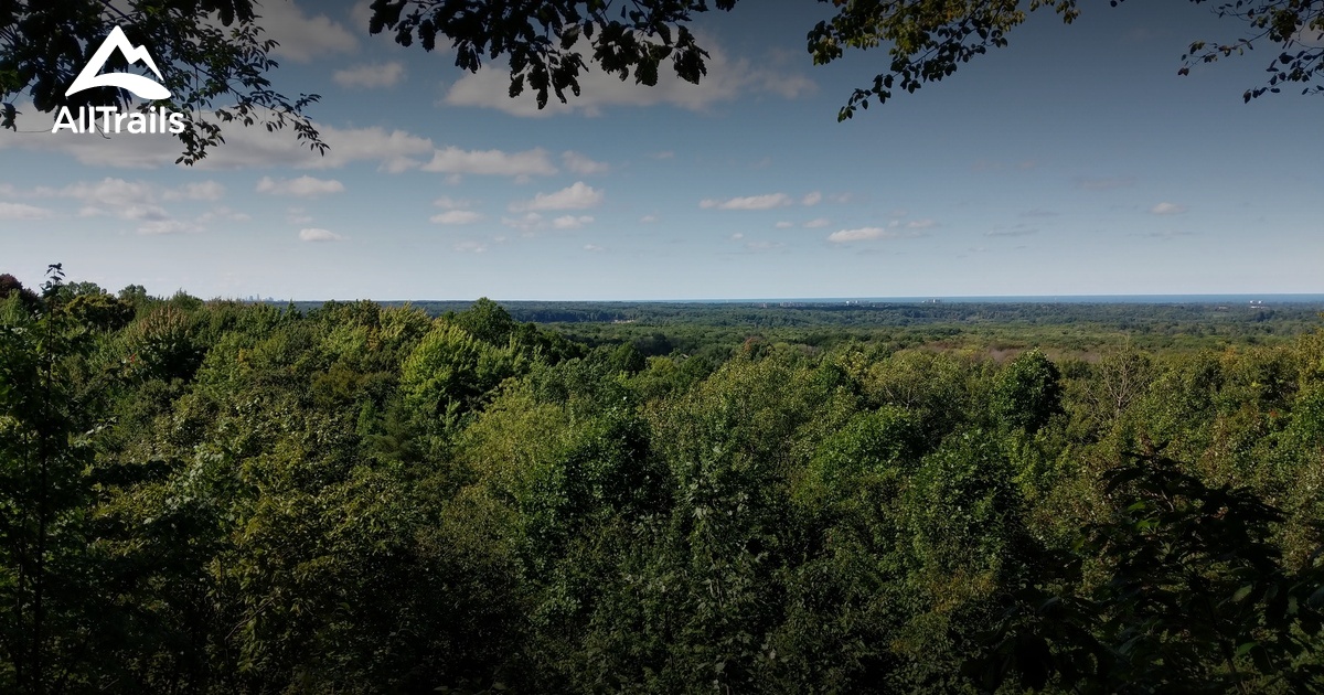 Best hikes and trails in Chapin Forest Reservation | AllTrails