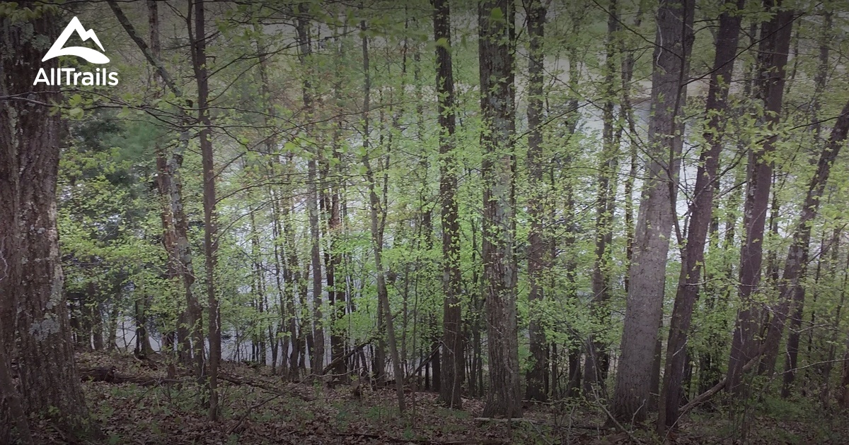 Best hikes and trails in Conklin Park AllTrails