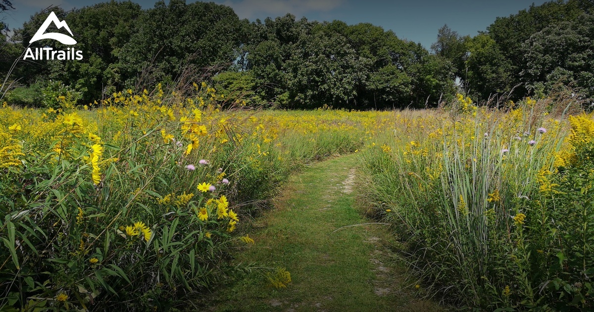 Best hikes and trails in University of Wisconsin Arboretum | AllTrails