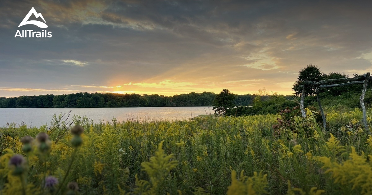 Best hikes and trails in West Boggs Park | AllTrails