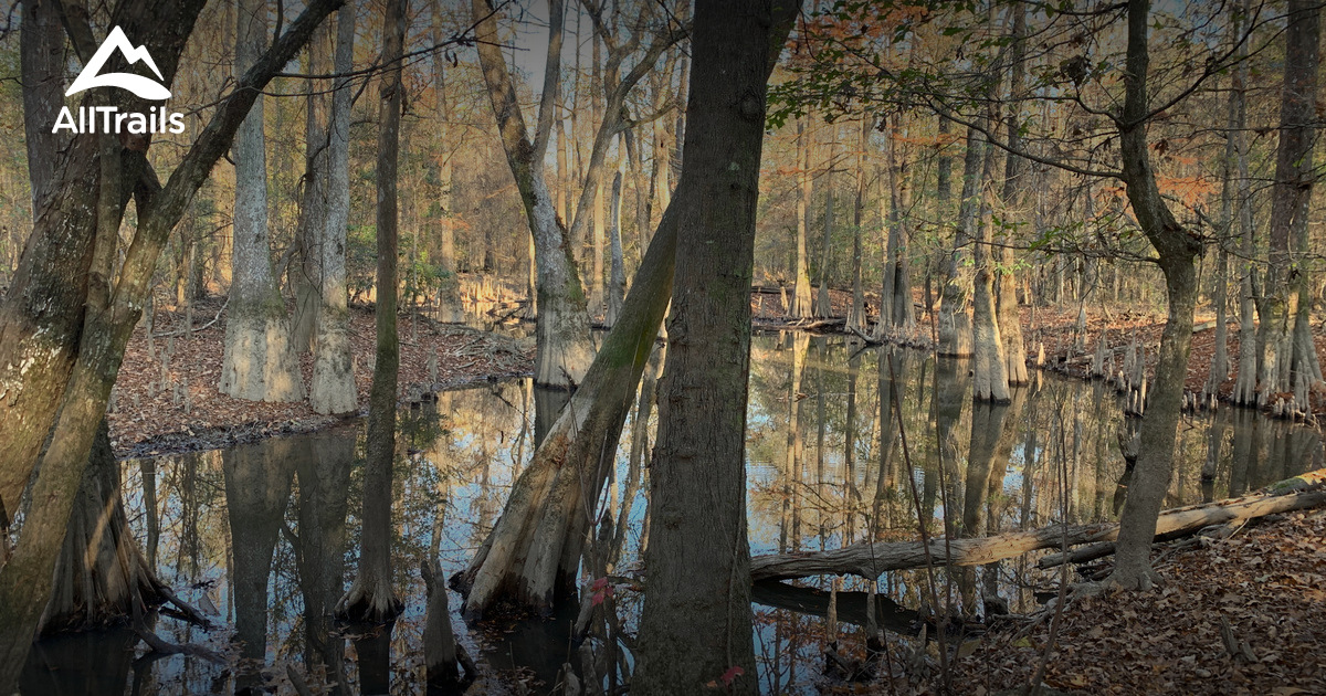 Best Trails in Pearl River St Wma - Louisiana | AllTrails