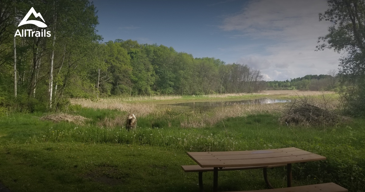 lake rebecca mountain bike trails