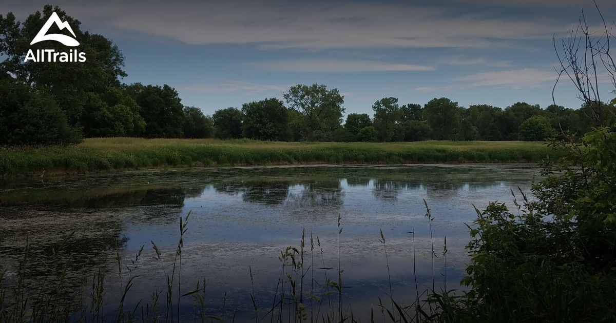 Best Trails in Palmer Lake Park West Minnesota AllTrails