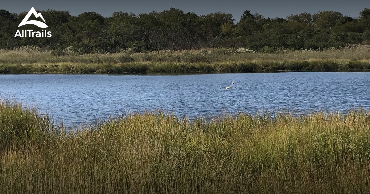 Best Trails in Brooklyn Marine Park - New York | AllTrails