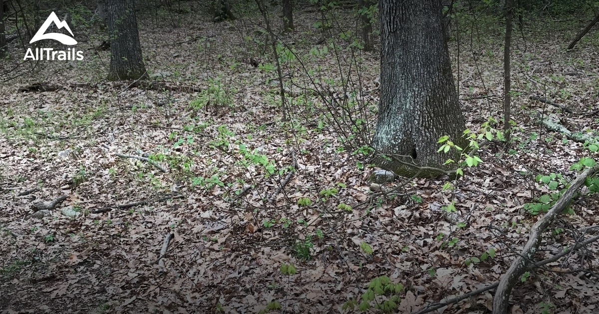 Best Forest Trails in Brooksvale Recreation Park AllTrails