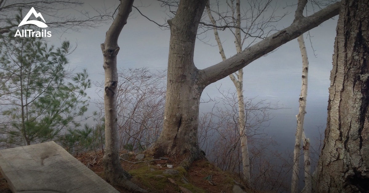 Best Hikes and Trails in Lakeville Conservation Park AllTrails