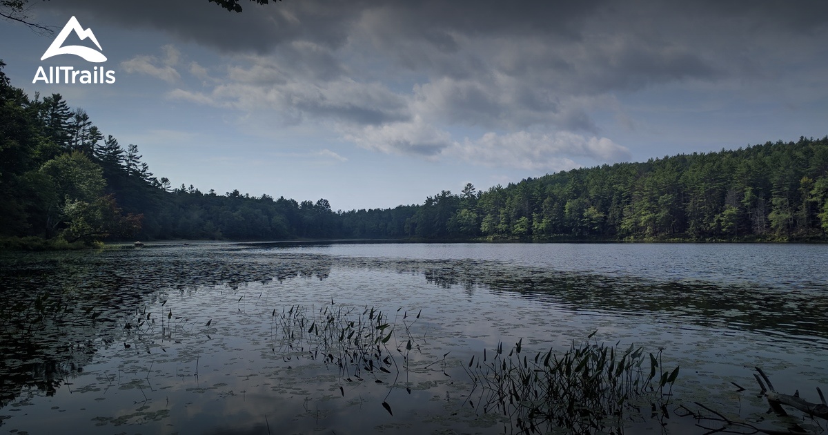 Best Trails in Tully Lake Recreation Area - Massachusetts | AllTrails