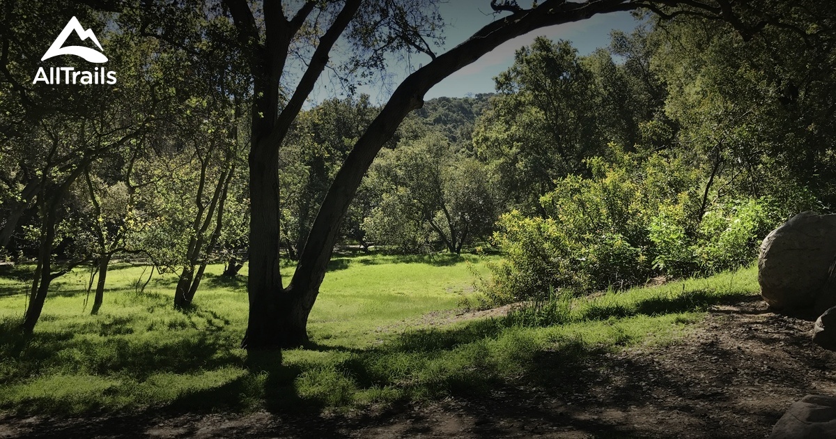 Best hikes and trails in Descanso Gardens | AllTrails