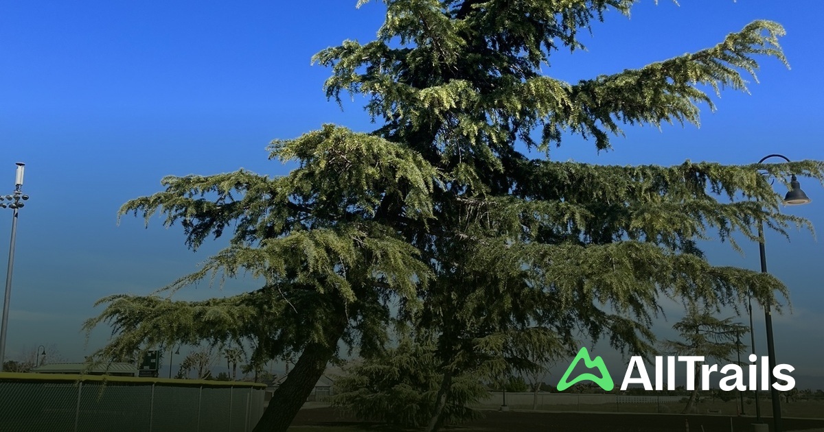 Best hikes and trails in Marie Kerr Park | AllTrails