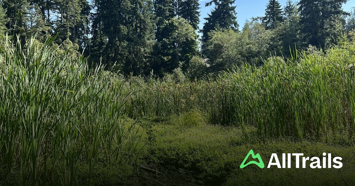 Best hikes and trails in Pine Ridge Park | AllTrails