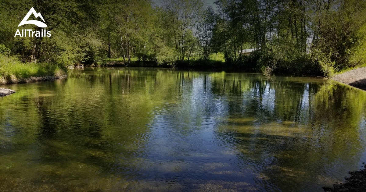Swan Creek Park les meilleures randonnées en forêt AllTrails