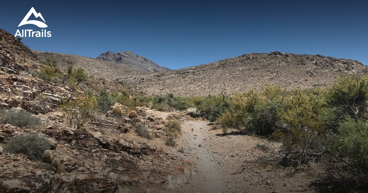 Best Trails in La Madre Mountain Wilderness - Nevada | AllTrails