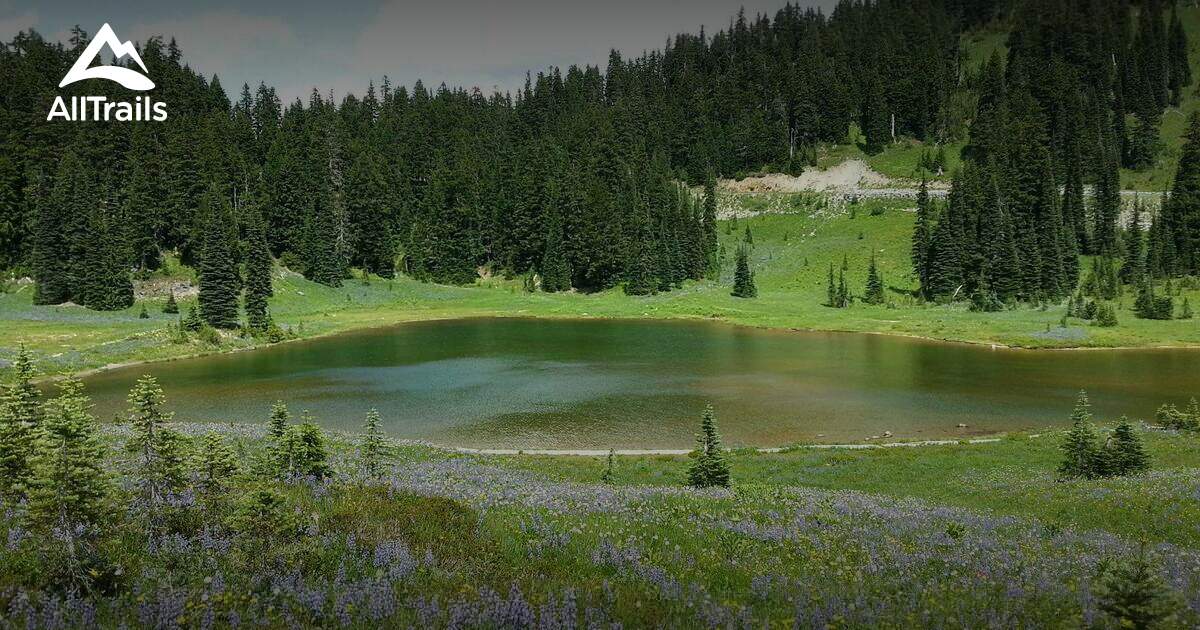 Best cross country skiing trails - Parks Us Washington Mount Rainier Wilderness 10150752 20210211080210000000000 1200x630 3 41613072607