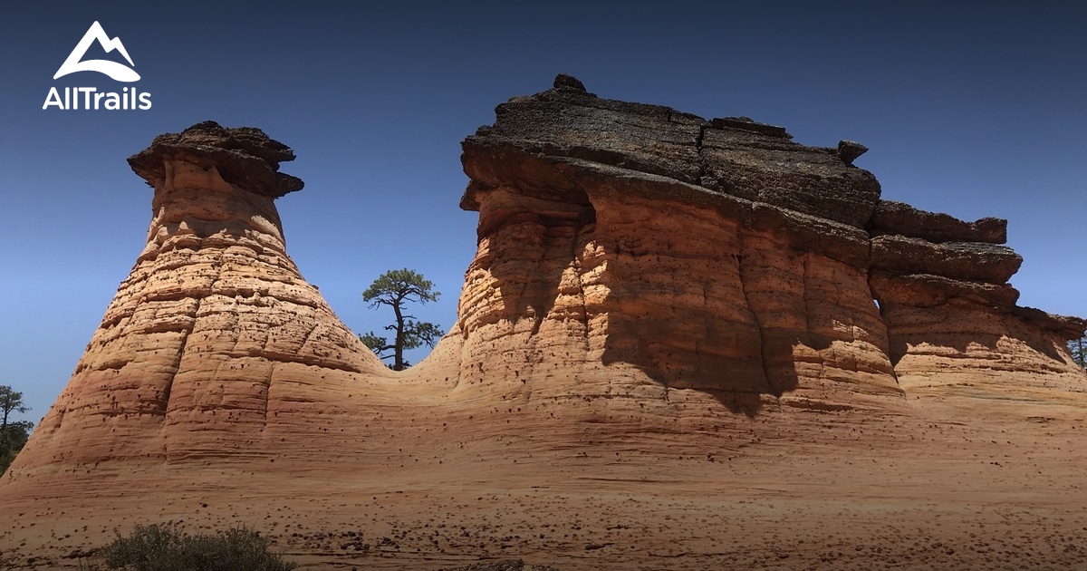 Best Trails in Canaan Mountain Wilderness - Utah | AllTrails