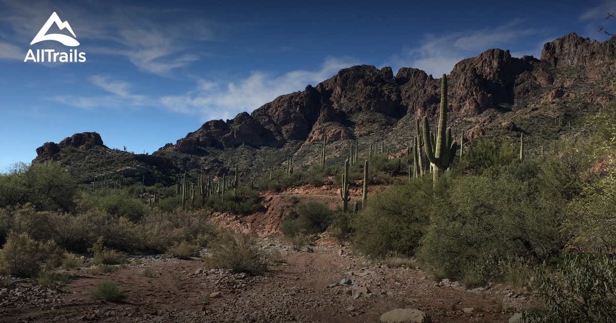 Best Trails in White Canyon Wilderness Arizona AllTrails