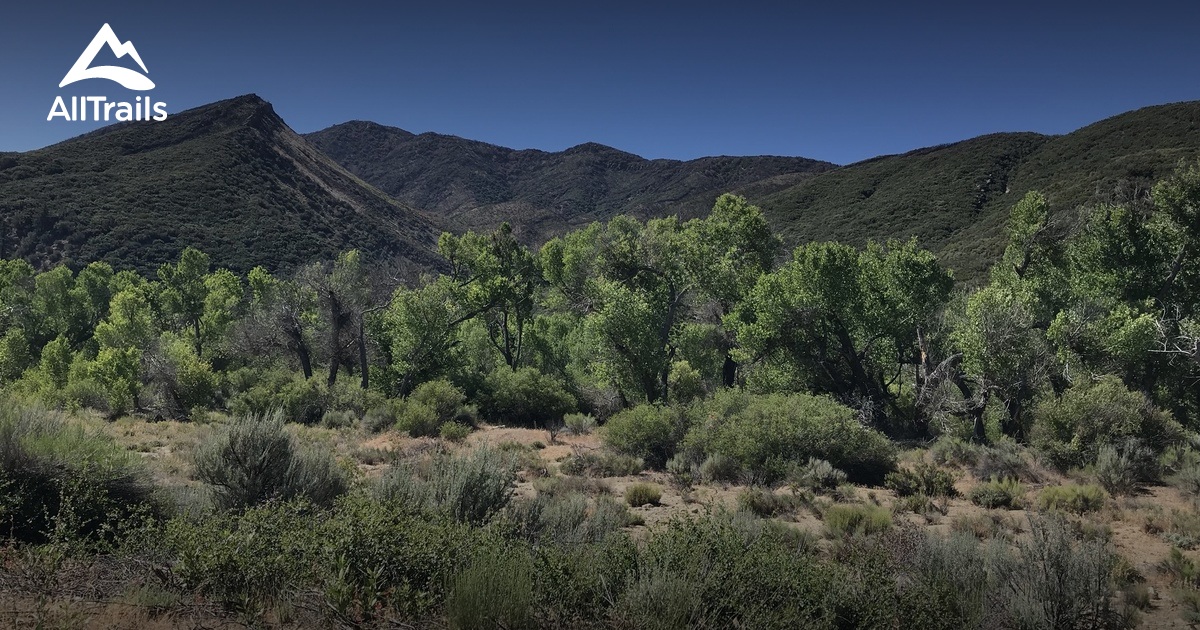 Best Trails in Sespe Wilderness - California | AllTrails