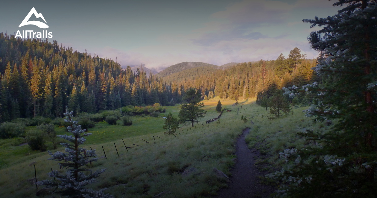 Best Trails in Mount Baldy Wilderness - Arizona | 82 Photos & 37 ...