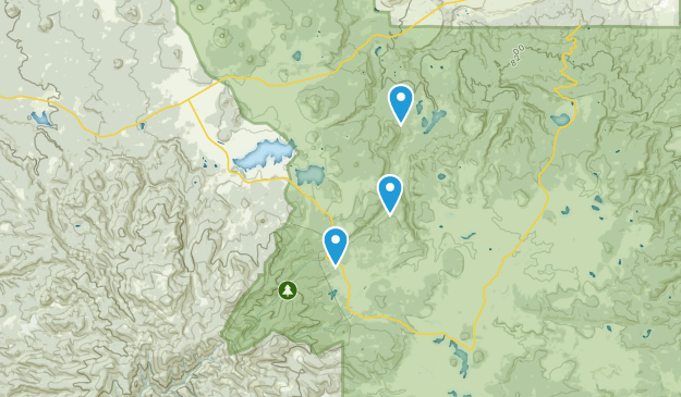 Best Trails in Mount Baldy Wilderness - Arizona | AllTrails