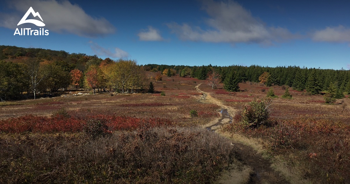 Best Trails in Dolly Sods Wilderness - West Virginia 