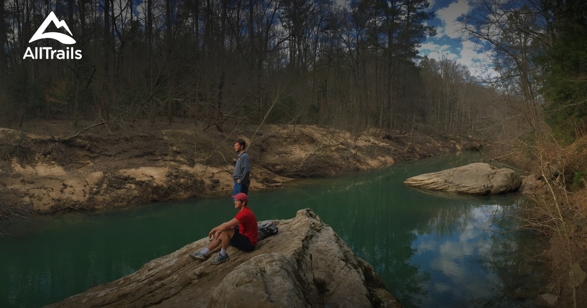 Best Trails in Sipsey Wilderness Alabama 372 Photos & 126 Reviews